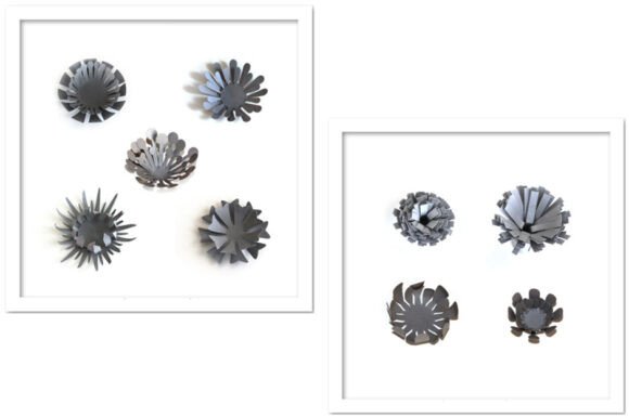 3D SVG Paper Flowers for Content Design: A Visual Asset Review